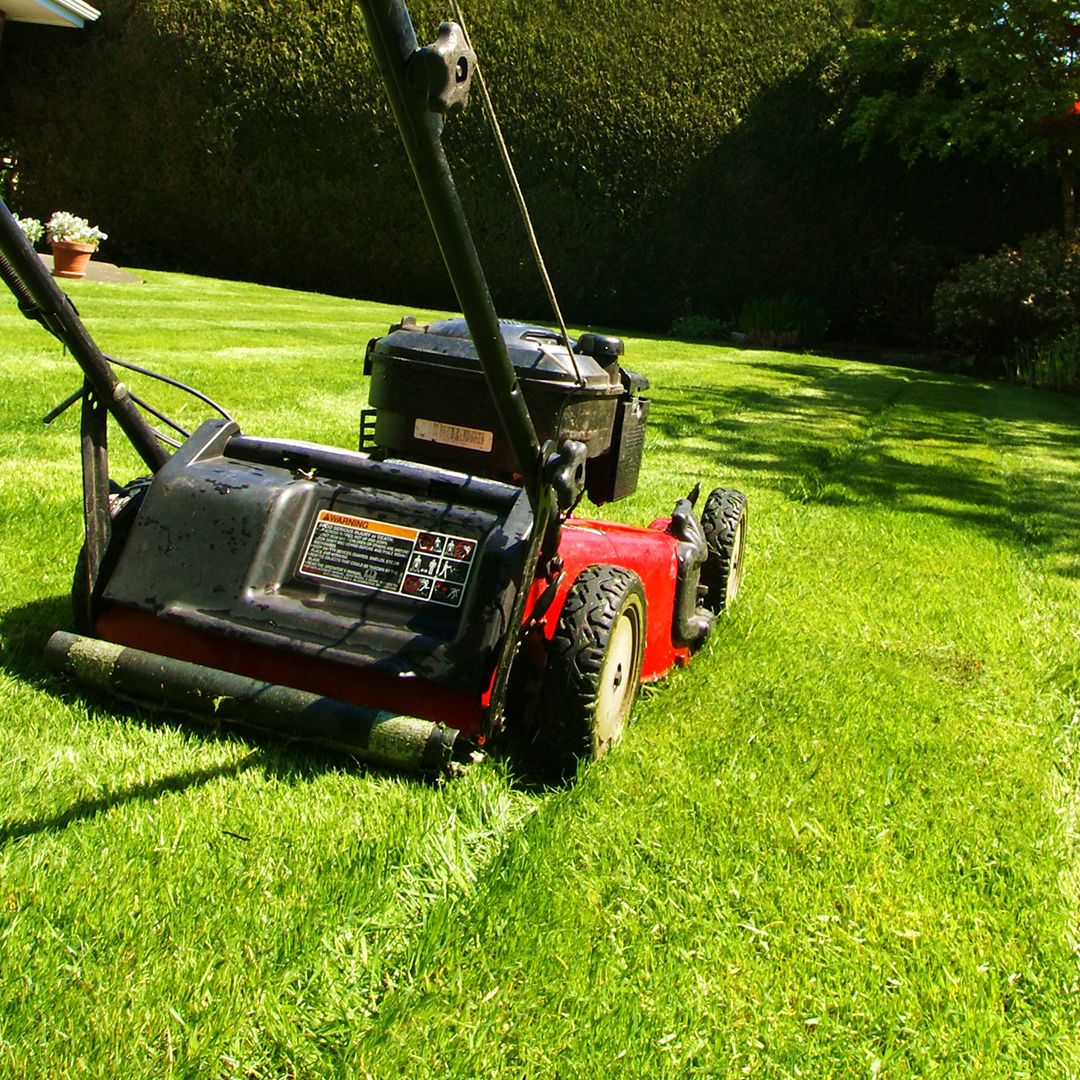 Lawn care