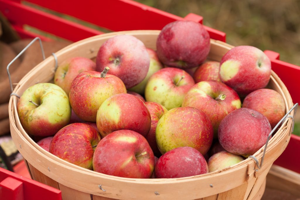 Organic Apples